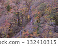秋天的樹葉 132410315