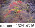 山上色彩繽紛的秋葉 132410316