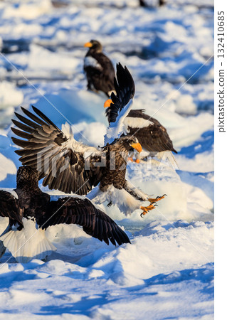 Living in a frozen world - powerful flight Living in a frozen world - powerful flight 132410685