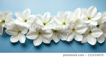 White amaryllis flowers arranged in a line on a soft blue background. 132410870