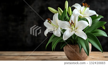 White Lilies flowers. Mourning or funeral background. White amaryllis flowers arranged Funeral symbol White Lilies flowers. Mourning or funeral background. White amaryllis flowers arranged Funeral symbol 132410883