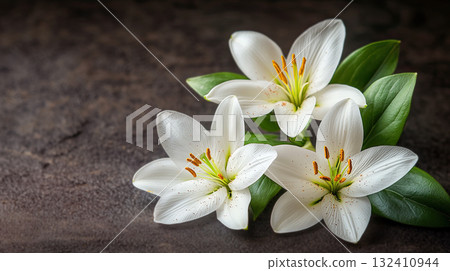 Concept mourning. White lily flowers on dark background. We remember, we mourn. Single white lily lit by surrounding candlelight on wet reflective surface, Concept mourning. White lily flowers on dark background. We remember, we mourn. Single white lily lit by surrounding candlelight on wet reflective surface, 132410944