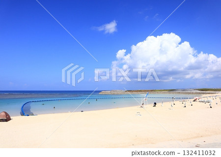 Tropical Beach 132411032