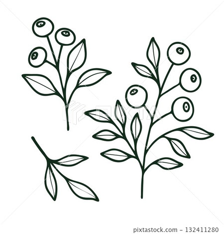 Vector non-AI forest berries on branches. Stylized berries on twigs isolated on white background. 132411280