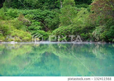 酸湯溫泉地獄沼澤(青森縣) 酸湯溫泉地獄沼澤(青森縣) 132411568