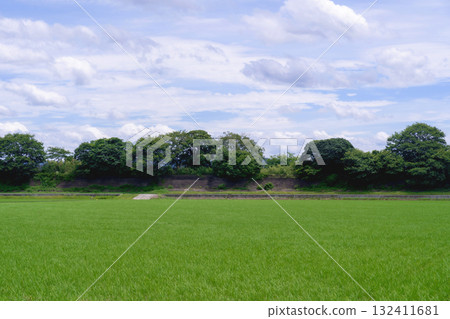 Field and blue sky Field and blue sky 132411681