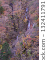 秋天的樹葉 132411791