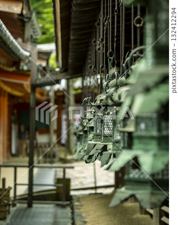 春日大社的燈籠走廊風景如畫 132412294