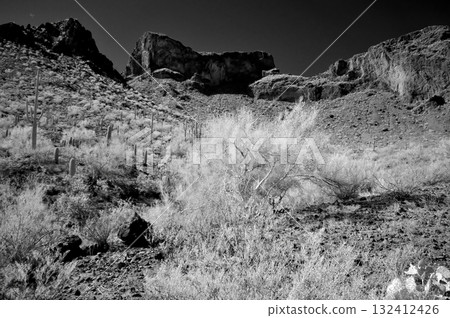 Monochrome Sonoran Desert Arizona Picacho Peak State Park Monochrome Sonoran Desert Arizona Picacho Peak State Park 132412426