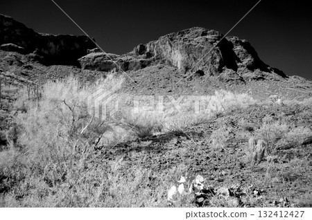 Monochrome Sonoran Desert Arizona Picacho Peak State Park Monochrome Sonoran Desert Arizona Picacho Peak State Park 132412427