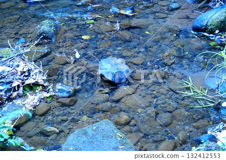 Color River Water Stone Rock (Registered October 2025) 132412553