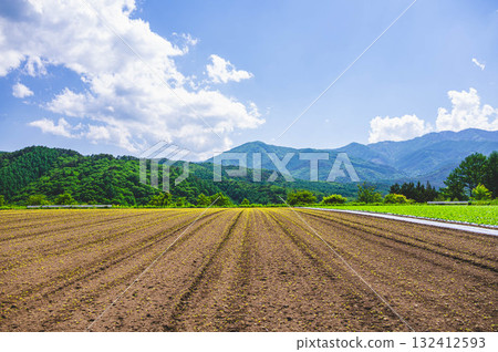 木曾村蕎麥田 132412593