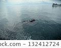 Could it be that Godzilla is off the coast of Rausu??? 132412724