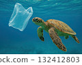 Plastic waste pollution of the marine environment and the threat to wildlife. 132412803