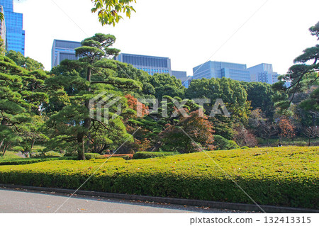 Ninomaru Garden of the former Edo Castle (Imperial Palace) [Chiyoda Ward, Tokyo] 132413315