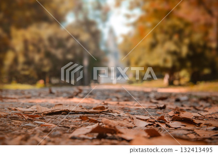 Autumn background. Dry leaves on a path in a park against a backdrop of blurred autumn trees. Autumn background. Dry leaves on a path in a park against a backdrop of blurred autumn trees. 132413495
