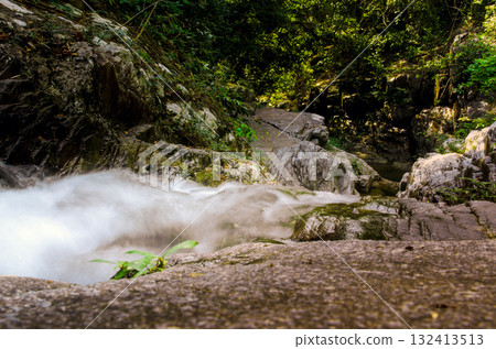 Turbulent small river in the jungle. Small picturesque river surrounded by dense tropical jungle. Turbulent small river in the jungle. Small picturesque river surrounded by dense tropical jungle. 132413513