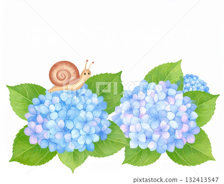 繡球花和蝸牛 132413547