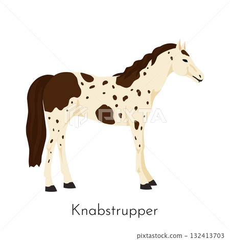 Horse Knabstrupper. Purebred farm beautiful spotted animal standing. Danish breed equine, pedigree hoss, Equestrian sport and riding, cute hoofed mammal vector cartoon isolated illustration Horse Knabstrupper. Purebred farm beautiful spotted animal standing. Danish breed equine, pedigree hoss, Equestrian sport and riding, cute hoofed mammal vector cartoon isolated illustration 132413703