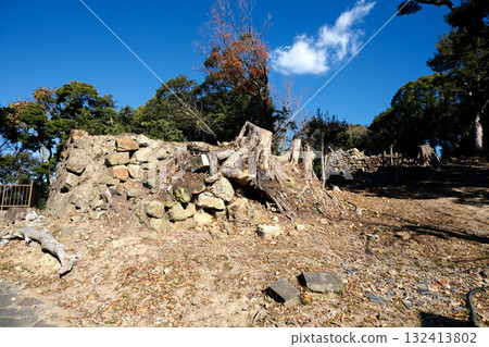 兵庫縣洲本市_洲本城遺址_2025年1月29日 132413802