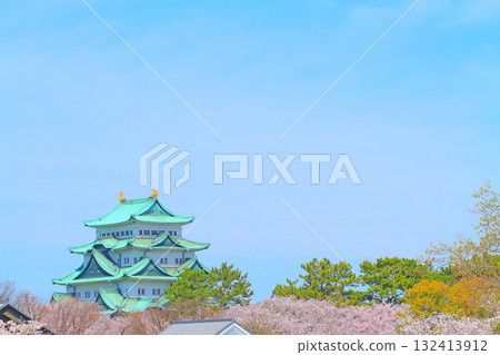 愛知縣名古屋市櫻花盛開和名古屋城的景色 132413912