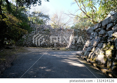 兵庫縣洲本市_洲本城跡 4_2025年1月 132414126