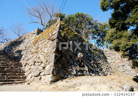 兵庫縣洲本市_洲本城遺址_2025年1月15日 132414137