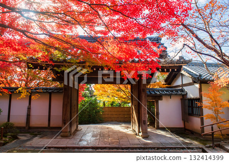 Ryoan-ji temple entrance with beautiful fall maple leaf colors, Kyoto 132414399