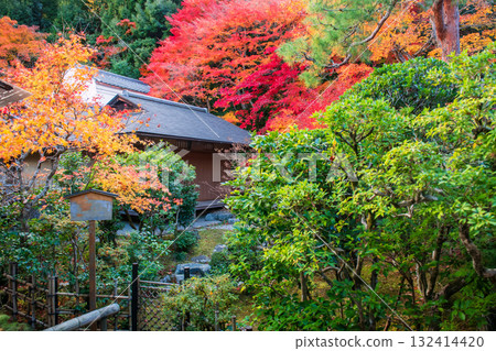 Autumn garden with coloful maple leaf by Nisonin temple, Arashiyama 132414420