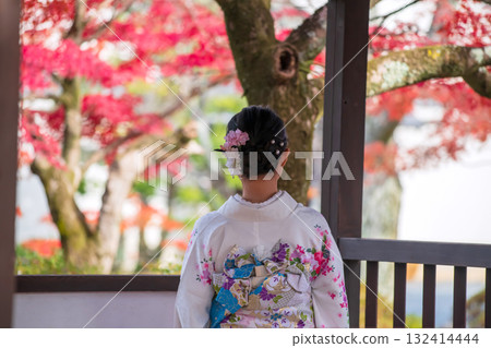 Japanese woman in Kimono look at autumn maple leaf in Shinnyodo , Kyoto Japanese woman in Kimono look at autumn maple leaf in Shinnyodo , Kyoto 132414444