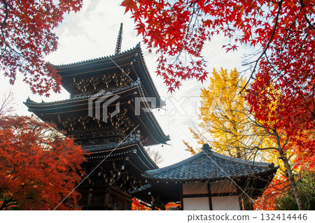 Autumn red maple and yellow ginkgo leaf by Shinnyodo pagoda, Kyoto 132414446