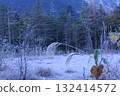 Early autumn morning, shining white frost. Kamikochi. 132414572