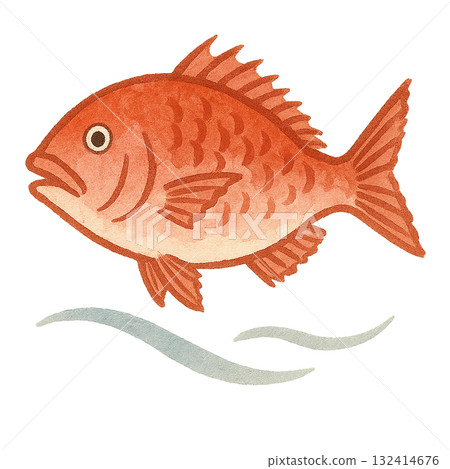 簡單的手繪海鯛插圖 132414676