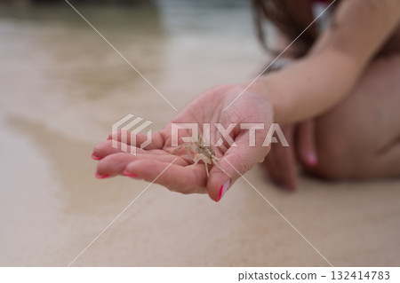 Young female hand show small sand crab on a beach 132414783