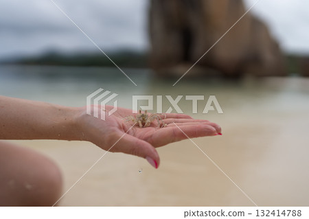 Young female hand show small sand crab on a beach 132414788