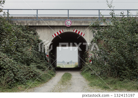 A Serene Underpass Embedded in the Lush Vibrant Greenery A Serene Underpass Embedded in the Lush Vibrant Greenery 132415197