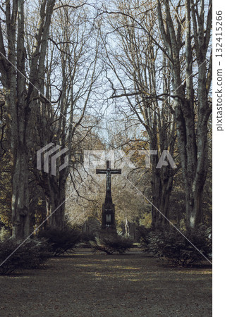 Ehrenfriedhof World War II military cemetery in Cologne 132415266