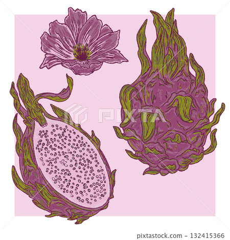 hand drawn illustration of exotic tropical exotic hand drawn illustration of exotic tropical exotic 132415366
