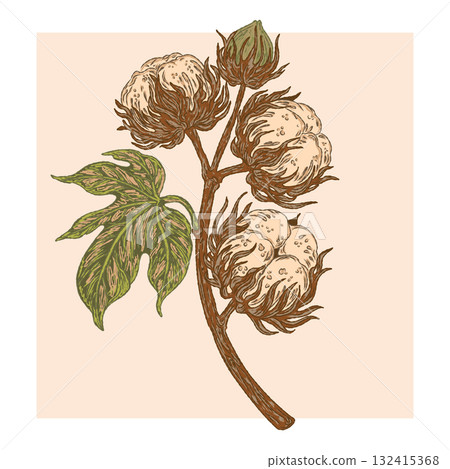 hand drawn rose flowers on a white background 132415368