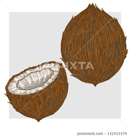 whole and half coconut on white background 132415374