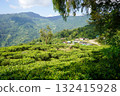 Hillside Tea Garden Village in Himalayan Foothills 132415928