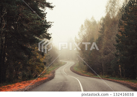 An asphalted winding road through an autumn forest in the fog 132416038