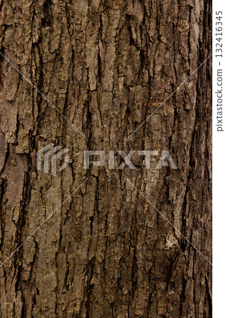 Deep grooved bark of a street tree. Texture/background Deep grooved bark of a street tree. Texture/background 132416345