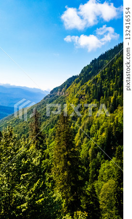 view of the mountainside covered with forest and the sky 132416554