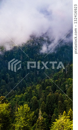 view of the mountain with fog 132416923