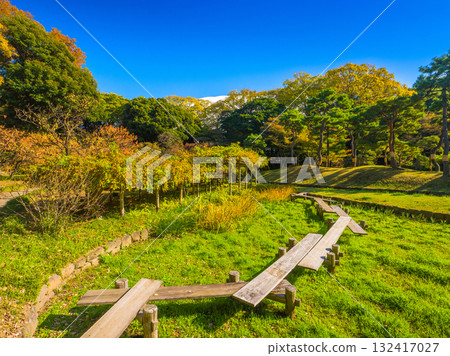 穿過秋色菖蒲田和紫藤架的木棧道(東京都文京區小石川後樂園) 穿過秋色菖蒲田和紫藤架的木棧道(東京都文京區小石川後樂園) 132417027