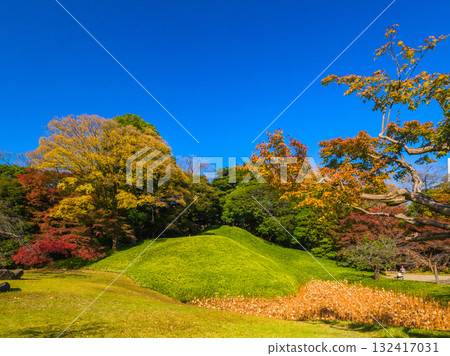 A vivid green artificial hill surrounded by autumn leaves under a clear autumn sky (Koishikawa Korakuen, Bunkyo Ward, Tokyo) 132417031