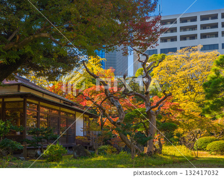 A traditional Japanese house surrounded by autumn leaves with modern skyscrapers in the background (Koishikawa Korakuen Garden, Bunkyo Ward, Tokyo) 132417032