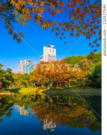 A Japanese garden pond and urban buildings seen through the branches of autumn leaves in the foreground (Koishikawa Korakuen, Bunkyo Ward, Tokyo) 132417040