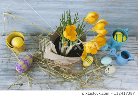 Spring Easter decor with crocuses and eggs. Crocuses and Easter eggs on a rustic wooden background. Spring Easter decor with crocuses and eggs. Crocuses and Easter eggs on a rustic wooden background. 132417397